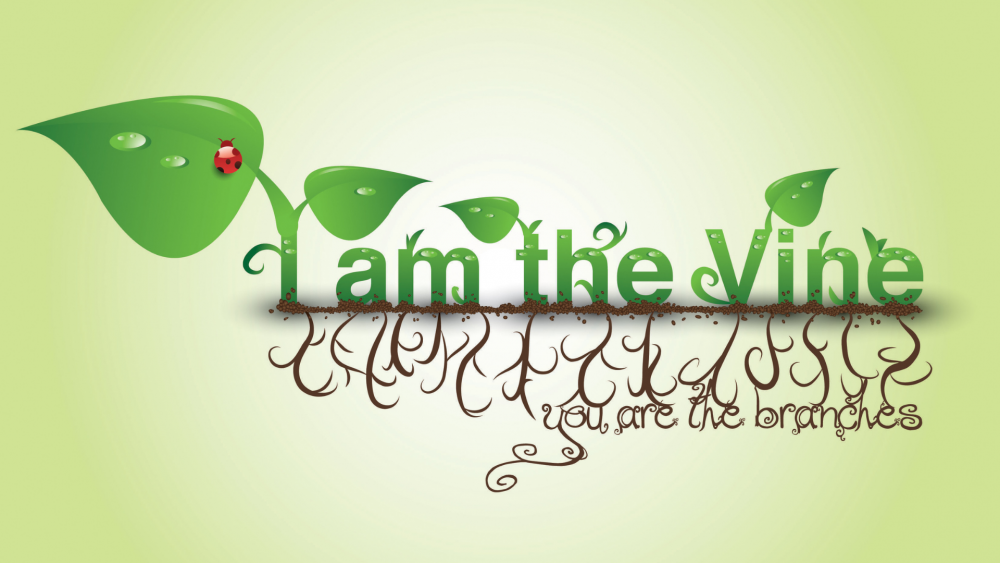 I AM the Vine