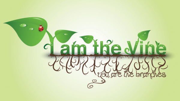I AM the Vine Image