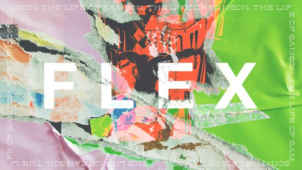 Flex Image